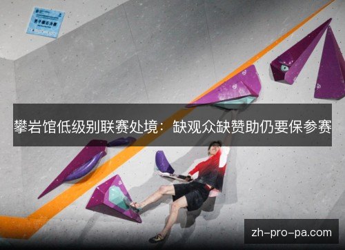 攀岩馆低级别联赛处境：缺观众缺赞助仍要保参赛